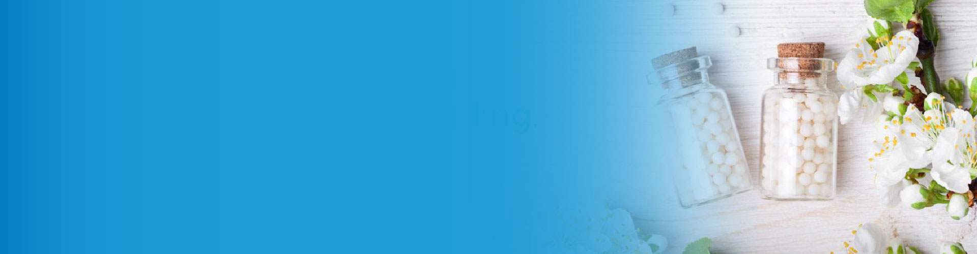 Electro Homeopathy Courses In Basti